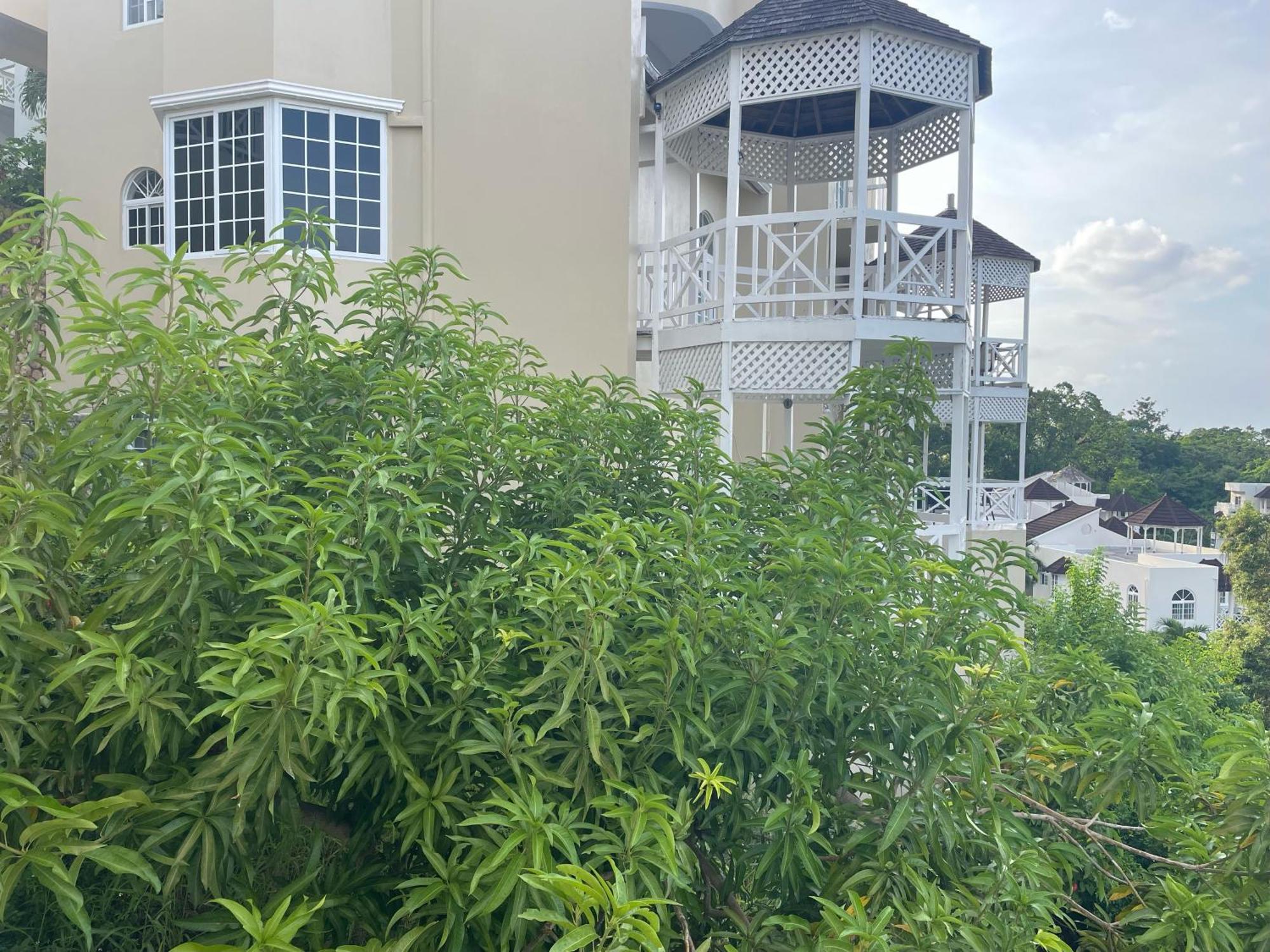 Oceanbreeze Jamaica Penthouse, 7-Minute Walk To Beach オーチョ・リオス エクステリア 写真