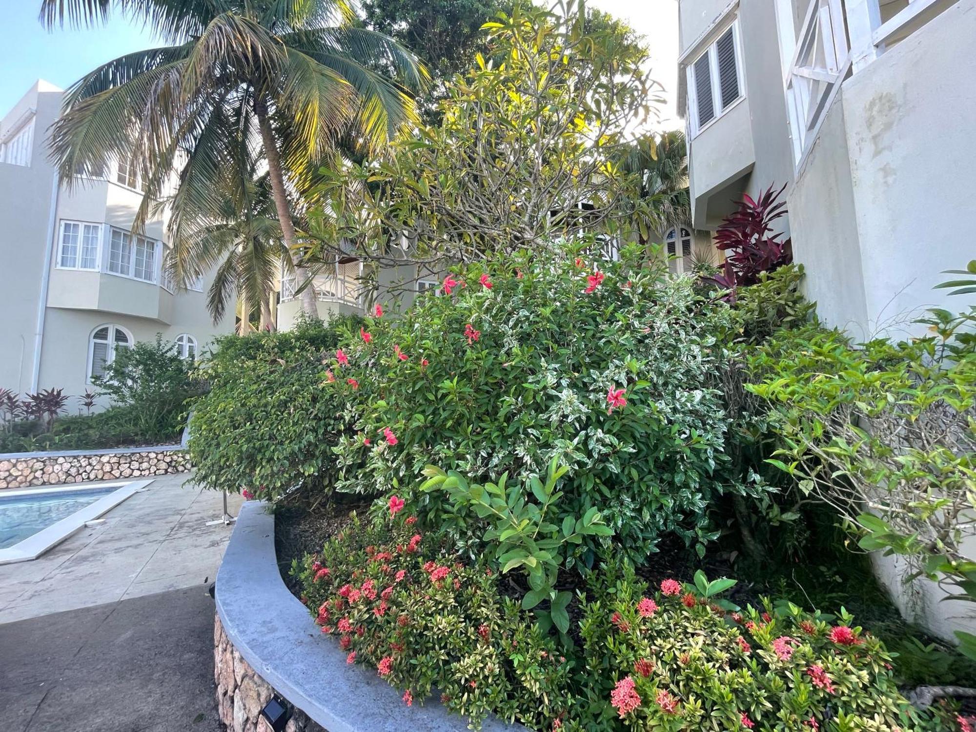 Oceanbreeze Jamaica Penthouse, 7-Minute Walk To Beach オーチョ・リオス エクステリア 写真